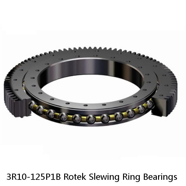 3R10-125P1B Rotek Slewing Ring Bearings