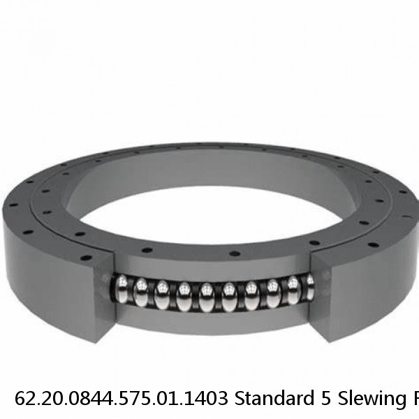 62.20.0844.575.01.1403 Standard 5 Slewing Ring Bearings