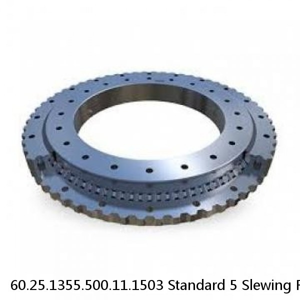 60.25.1355.500.11.1503 Standard 5 Slewing Ring Bearings