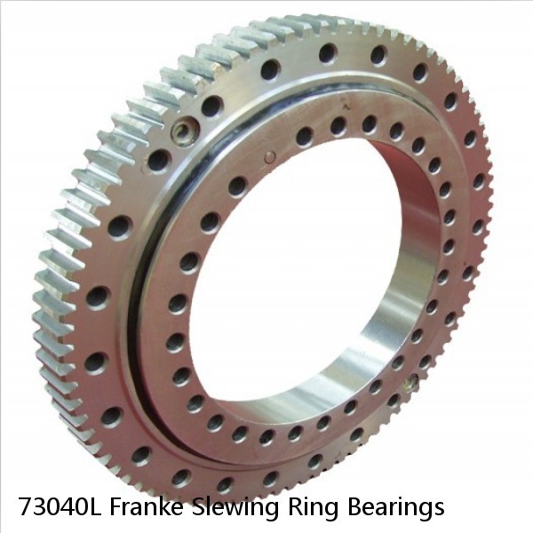 73040L Franke Slewing Ring Bearings