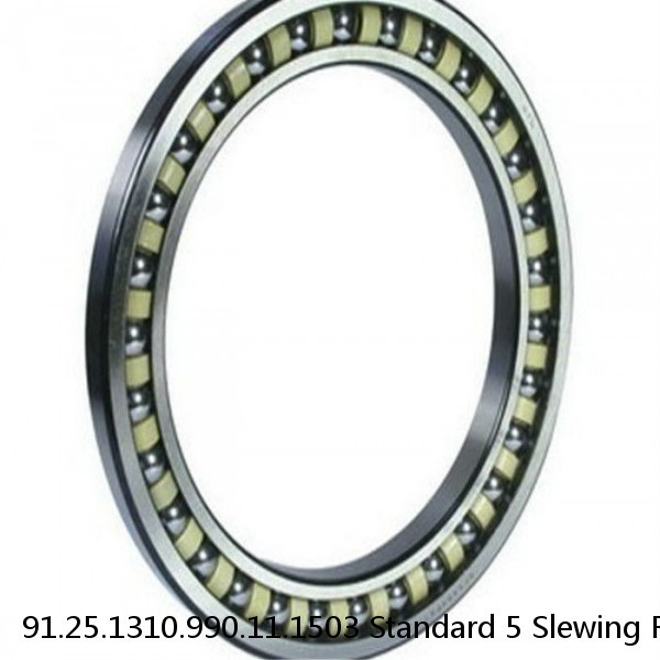 91.25.1310.990.11.1503 Standard 5 Slewing Ring Bearings