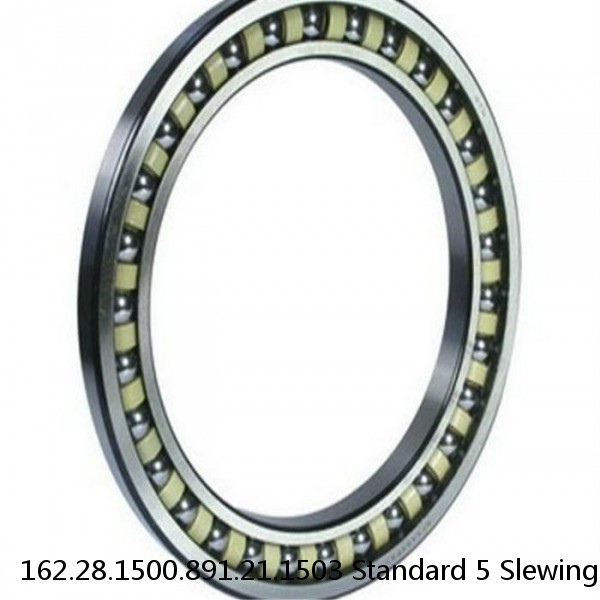 162.28.1500.891.21.1503 Standard 5 Slewing Ring Bearings