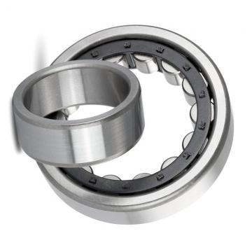 Rust-Proof AISI420/440/304/316 stainless steel radial ball bearings SS6805 SS6905 SS6005 SS 6205 SS6305