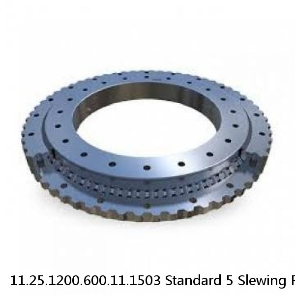 11.25.1200.600.11.1503 Standard 5 Slewing Ring Bearings