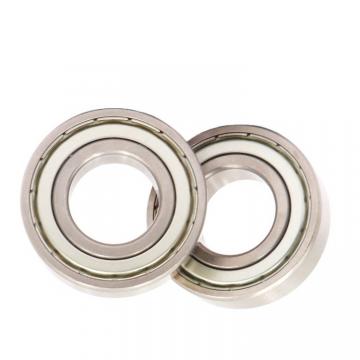 Deep Groove Ball Bearing 6300zz (SKF NACHI, Timken, NSK, NTN, KOYO, IKO 6000 6001 6002 6003 6004 6005 6006 6007 6200 6201 6202 6203 6204 6205 6301 6302 ZZ 2RS)