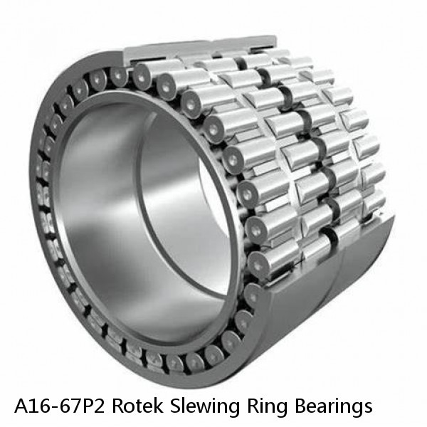 A16-67P2 Rotek Slewing Ring Bearings