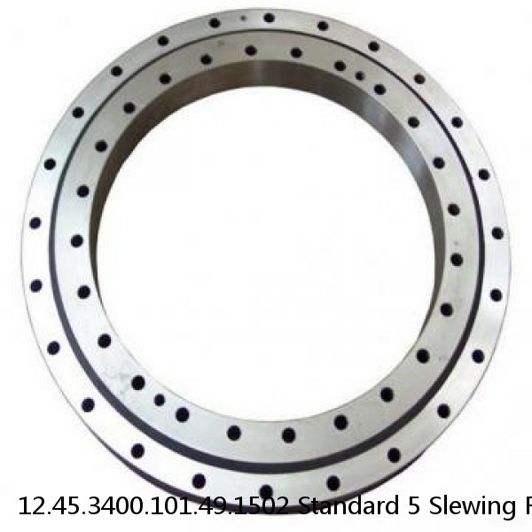 12.45.3400.101.49.1502 Standard 5 Slewing Ring Bearings