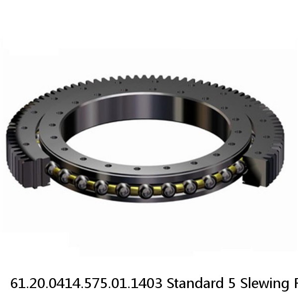 61.20.0414.575.01.1403 Standard 5 Slewing Ring Bearings