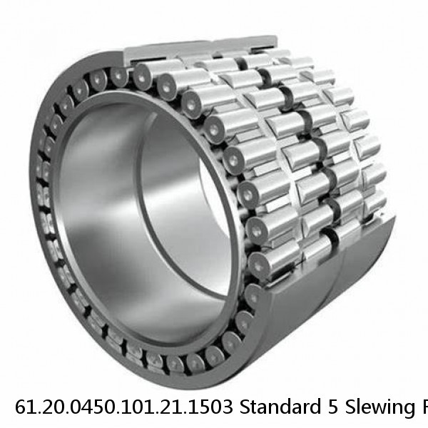 61.20.0450.101.21.1503 Standard 5 Slewing Ring Bearings