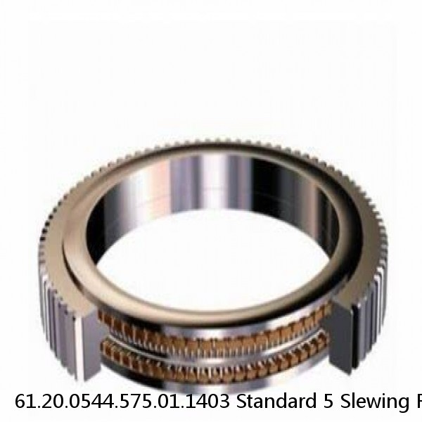 61.20.0544.575.01.1403 Standard 5 Slewing Ring Bearings