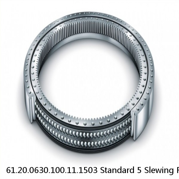 61.20.0630.100.11.1503 Standard 5 Slewing Ring Bearings