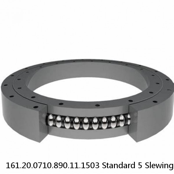 161.20.0710.890.11.1503 Standard 5 Slewing Ring Bearings