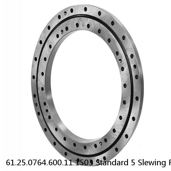 61.25.0764.600.11.1503 Standard 5 Slewing Ring Bearings