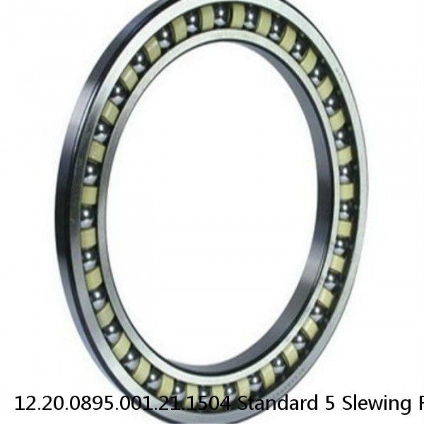 12.20.0895.001.21.1504 Standard 5 Slewing Ring Bearings