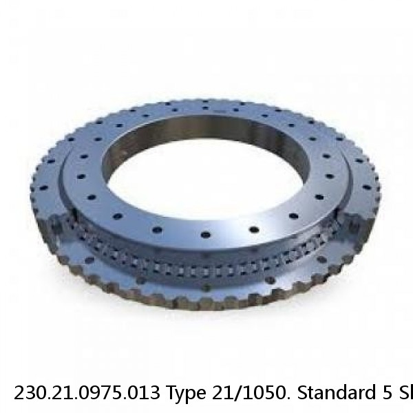 230.21.0975.013 Type 21/1050. Standard 5 Slewing Ring Bearings