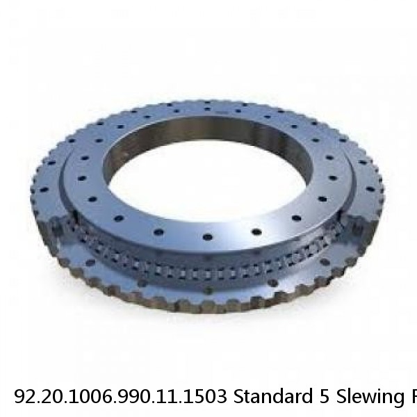 92.20.1006.990.11.1503 Standard 5 Slewing Ring Bearings