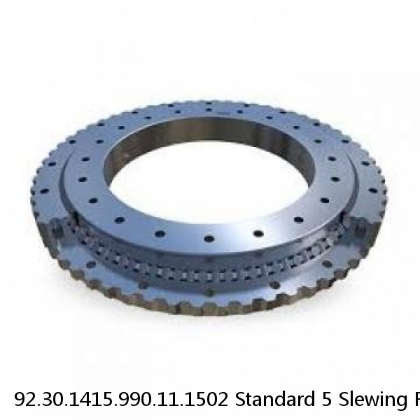 92.30.1415.990.11.1502 Standard 5 Slewing Ring Bearings