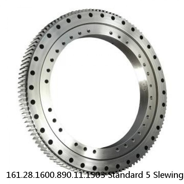 161.28.1600.890.11.1503 Standard 5 Slewing Ring Bearings