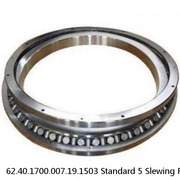 62.40.1700.007.19.1503 Standard 5 Slewing Ring Bearings