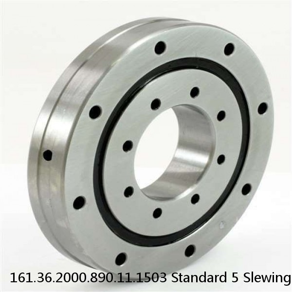 161.36.2000.890.11.1503 Standard 5 Slewing Ring Bearings