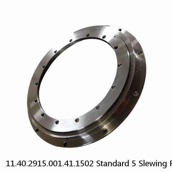 11.40.2915.001.41.1502 Standard 5 Slewing Ring Bearings