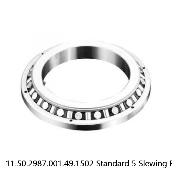 11.50.2987.001.49.1502 Standard 5 Slewing Ring Bearings