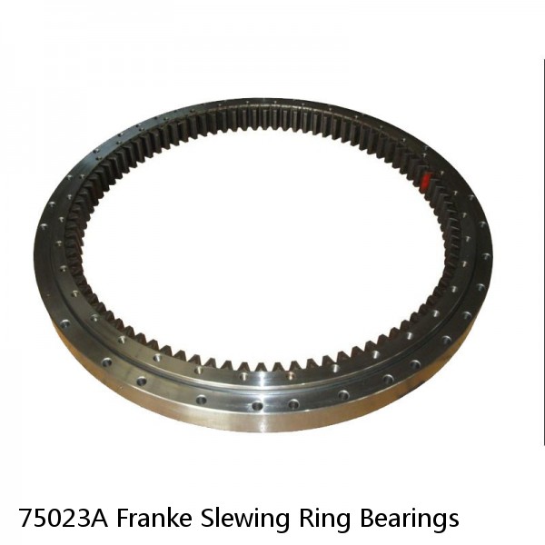 75023A Franke Slewing Ring Bearings