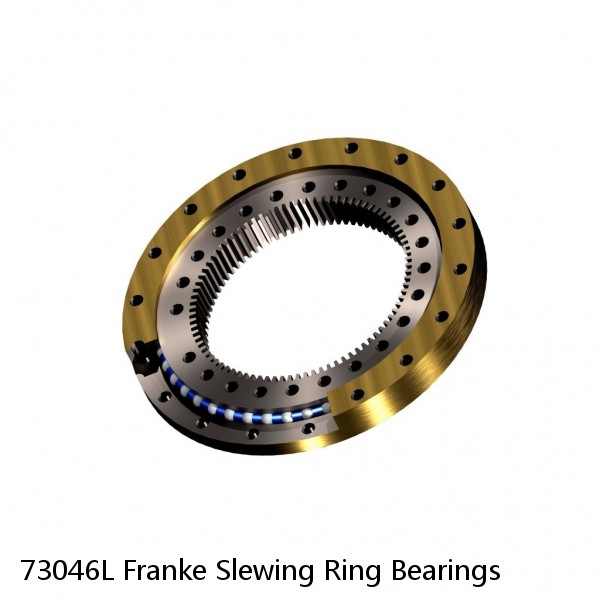 73046L Franke Slewing Ring Bearings