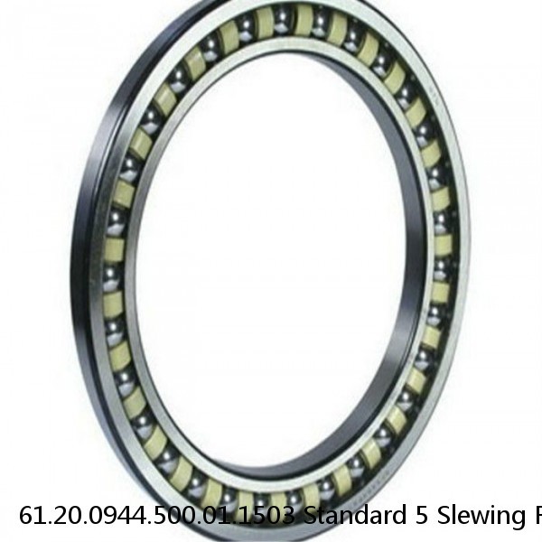 61.20.0944.500.01.1503 Standard 5 Slewing Ring Bearings