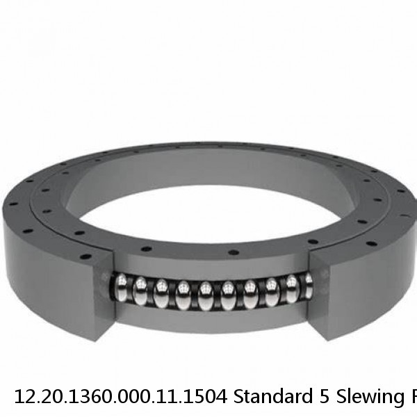 12.20.1360.000.11.1504 Standard 5 Slewing Ring Bearings