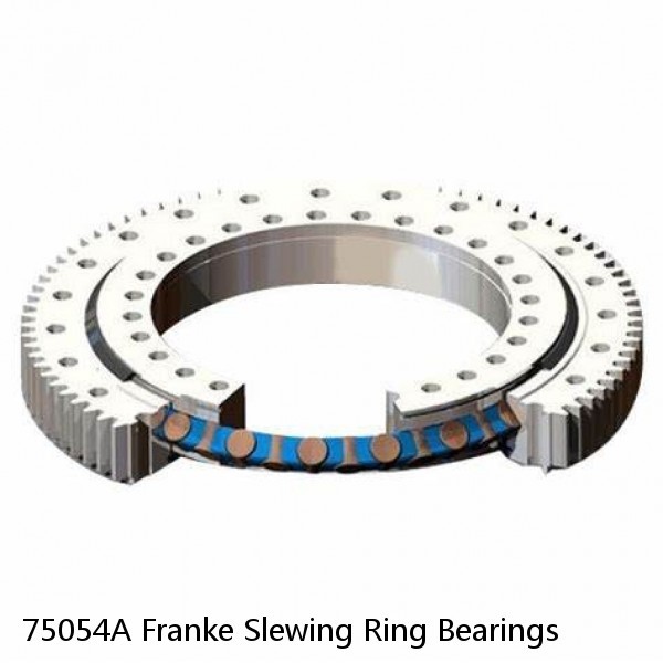 75054A Franke Slewing Ring Bearings