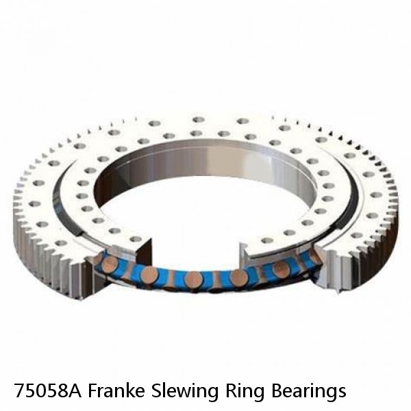 75058A Franke Slewing Ring Bearings