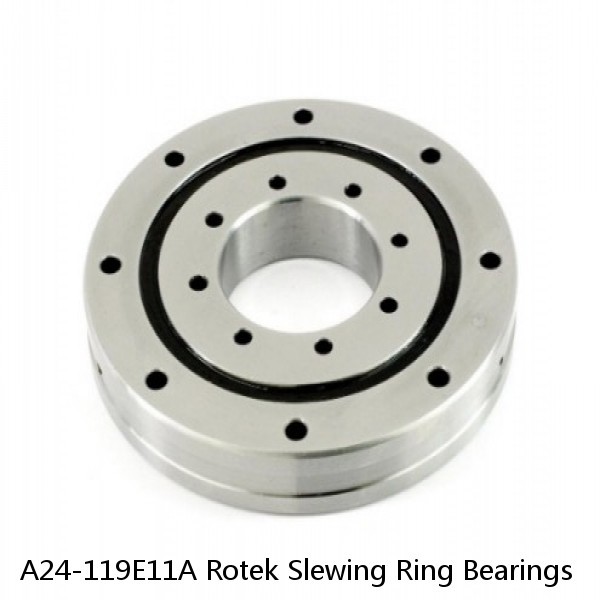 A24-119E11A Rotek Slewing Ring Bearings