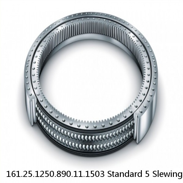 161.25.1250.890.11.1503 Standard 5 Slewing Ring Bearings