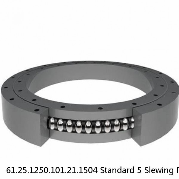 61.25.1250.101.21.1504 Standard 5 Slewing Ring Bearings