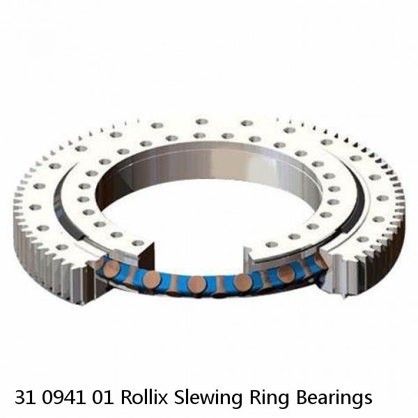 31 0941 01 Rollix Slewing Ring Bearings