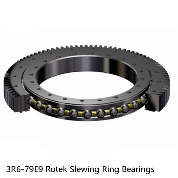 3R6-79E9 Rotek Slewing Ring Bearings