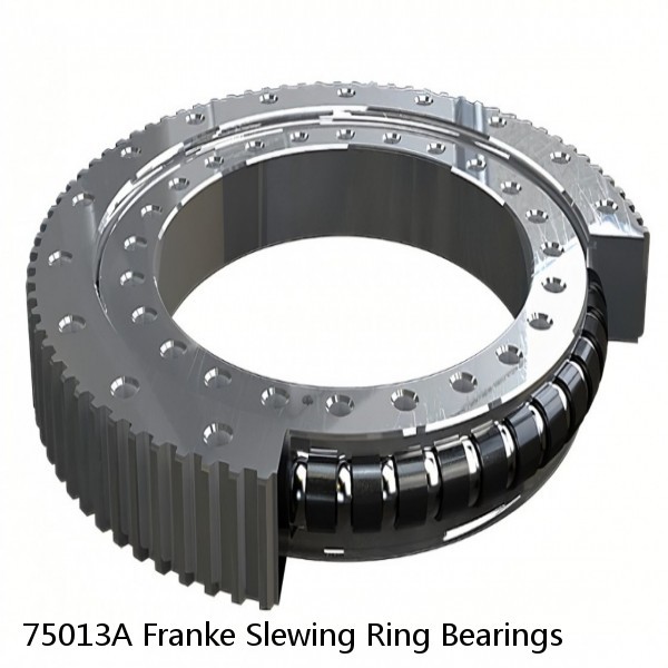 75013A Franke Slewing Ring Bearings