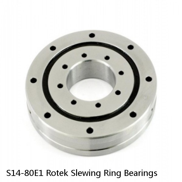 S14-80E1 Rotek Slewing Ring Bearings