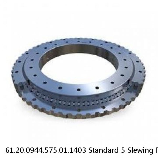 61.20.0944.575.01.1403 Standard 5 Slewing Ring Bearings