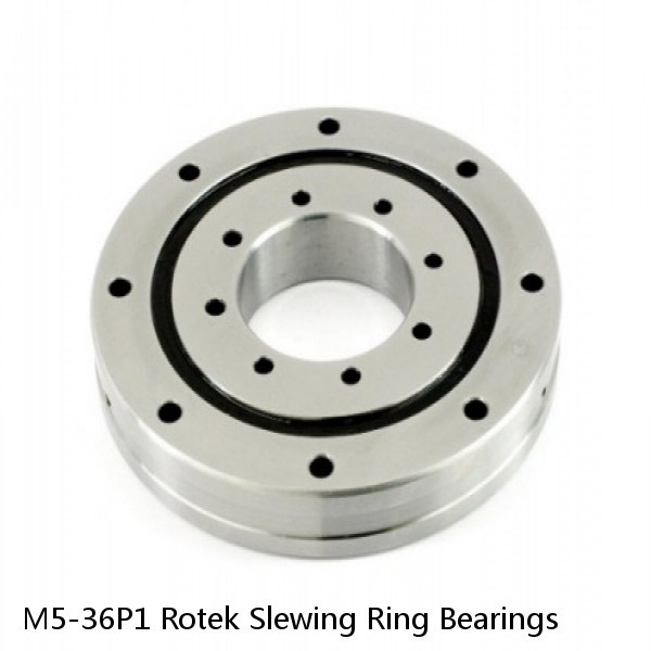 M5-36P1 Rotek Slewing Ring Bearings