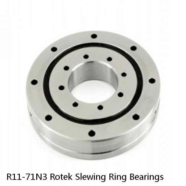 R11-71N3 Rotek Slewing Ring Bearings