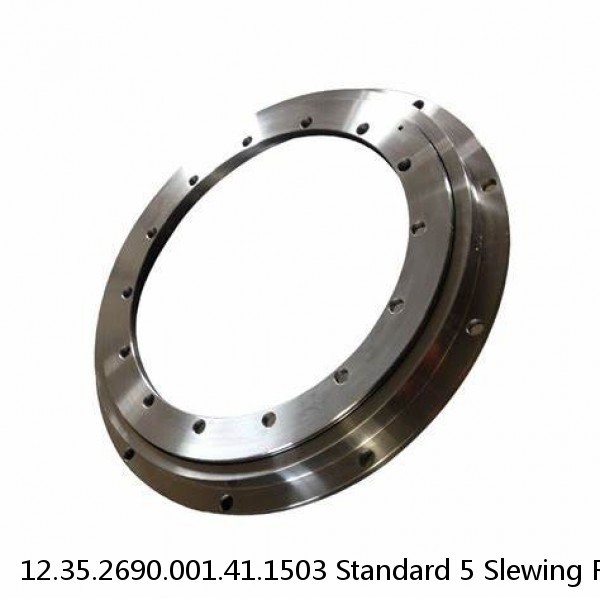 12.35.2690.001.41.1503 Standard 5 Slewing Ring Bearings