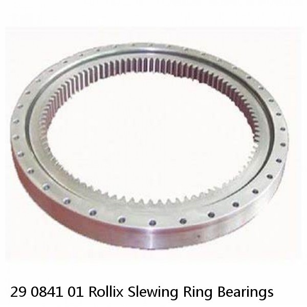 29 0841 01 Rollix Slewing Ring Bearings