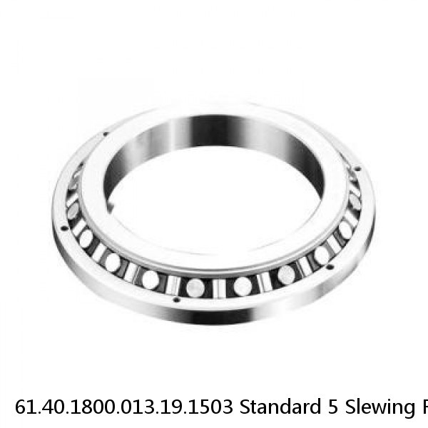 61.40.1800.013.19.1503 Standard 5 Slewing Ring Bearings