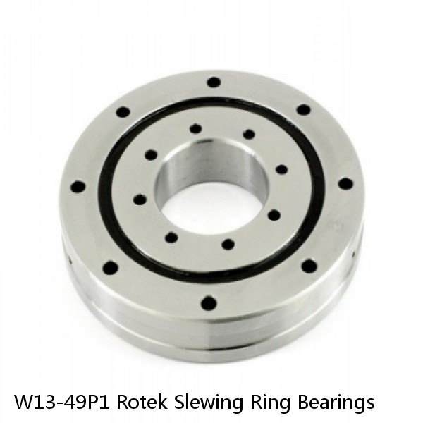 W13-49P1 Rotek Slewing Ring Bearings