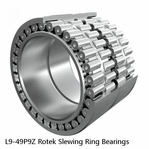 L9-49P9Z Rotek Slewing Ring Bearings