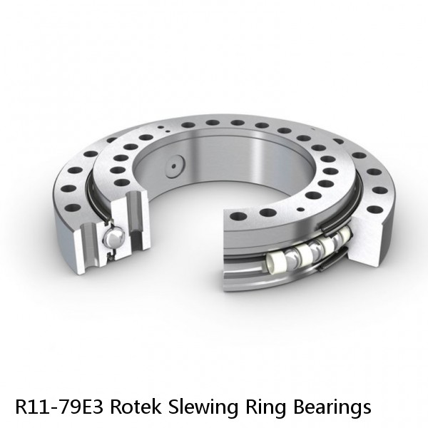 R11-79E3 Rotek Slewing Ring Bearings