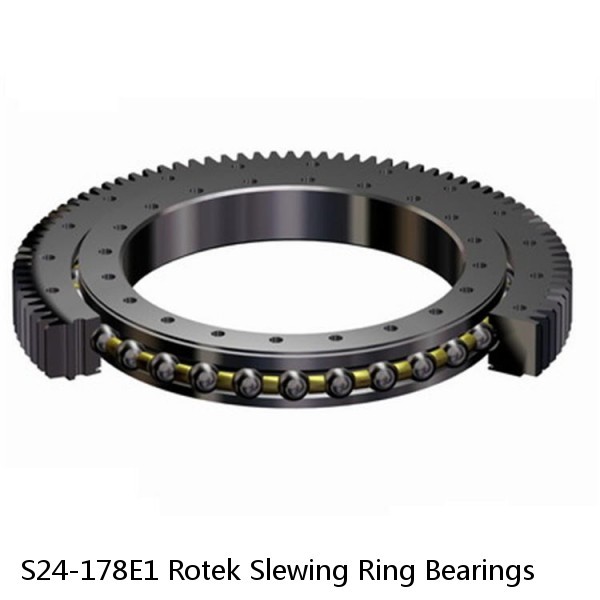 S24-178E1 Rotek Slewing Ring Bearings