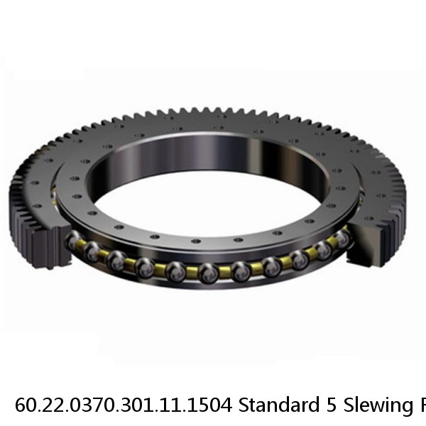 60.22.0370.301.11.1504 Standard 5 Slewing Ring Bearings